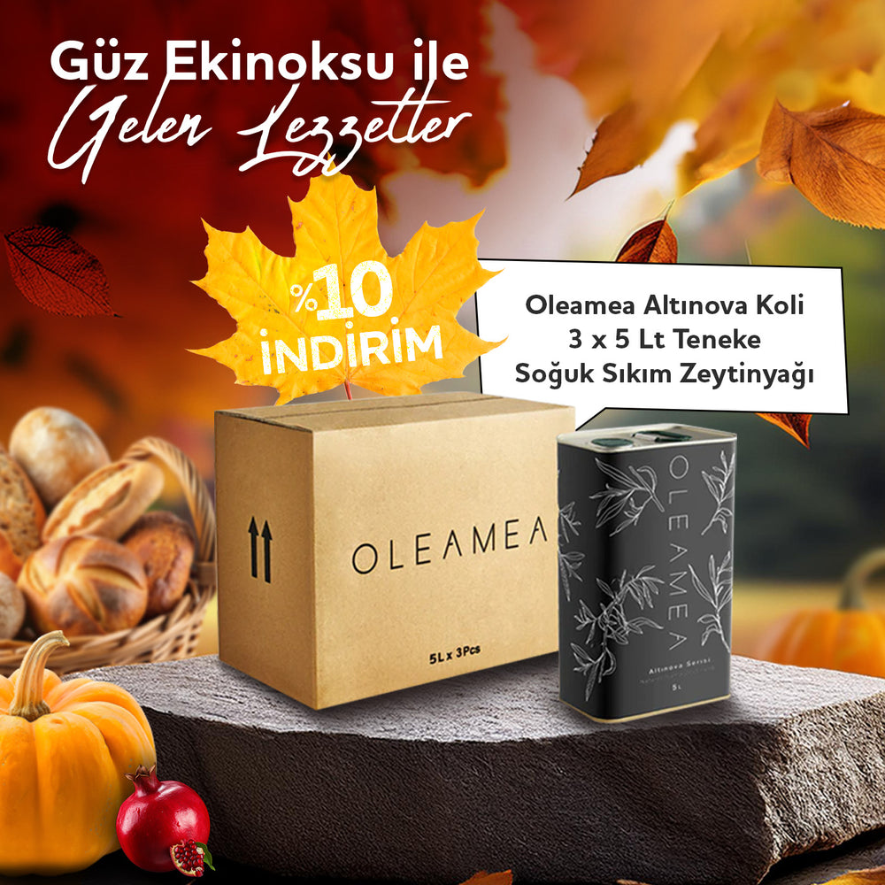 OLEAMEA Zeytincilik