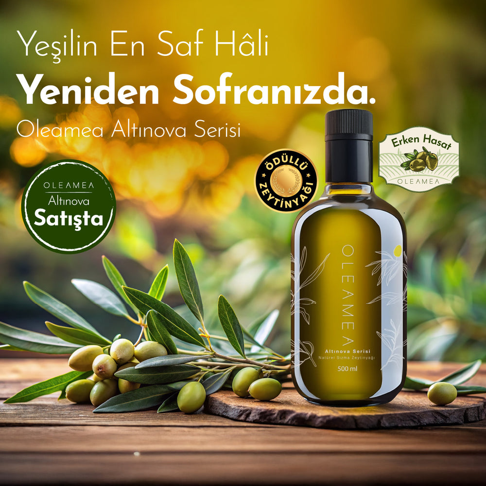 OLEAMEA Zeytincilik