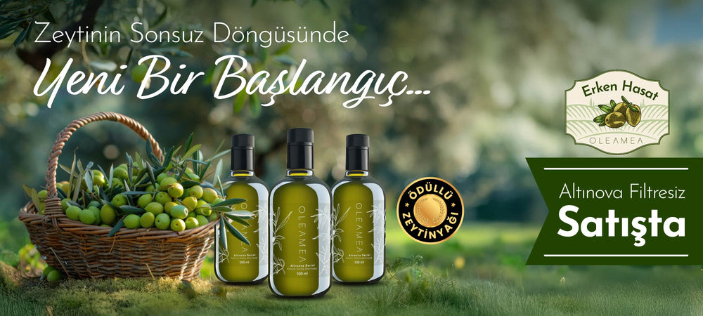 OLEAMEA Zeytincilik